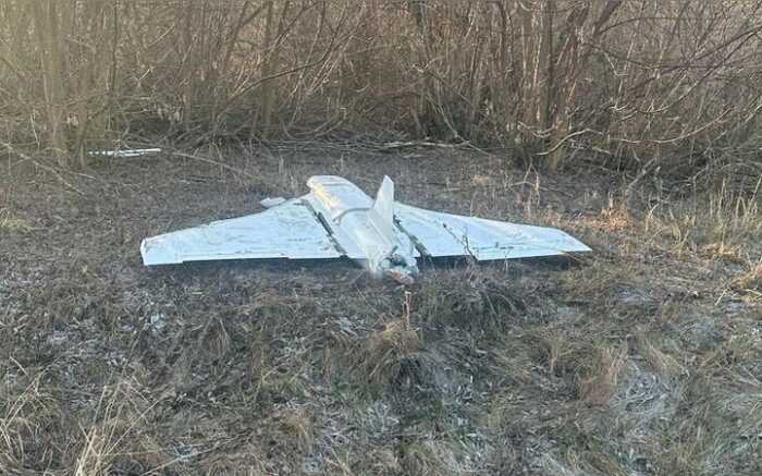 Сили оборони знешкодили 30 ворожих дронів, якими РФ атакувала Україну